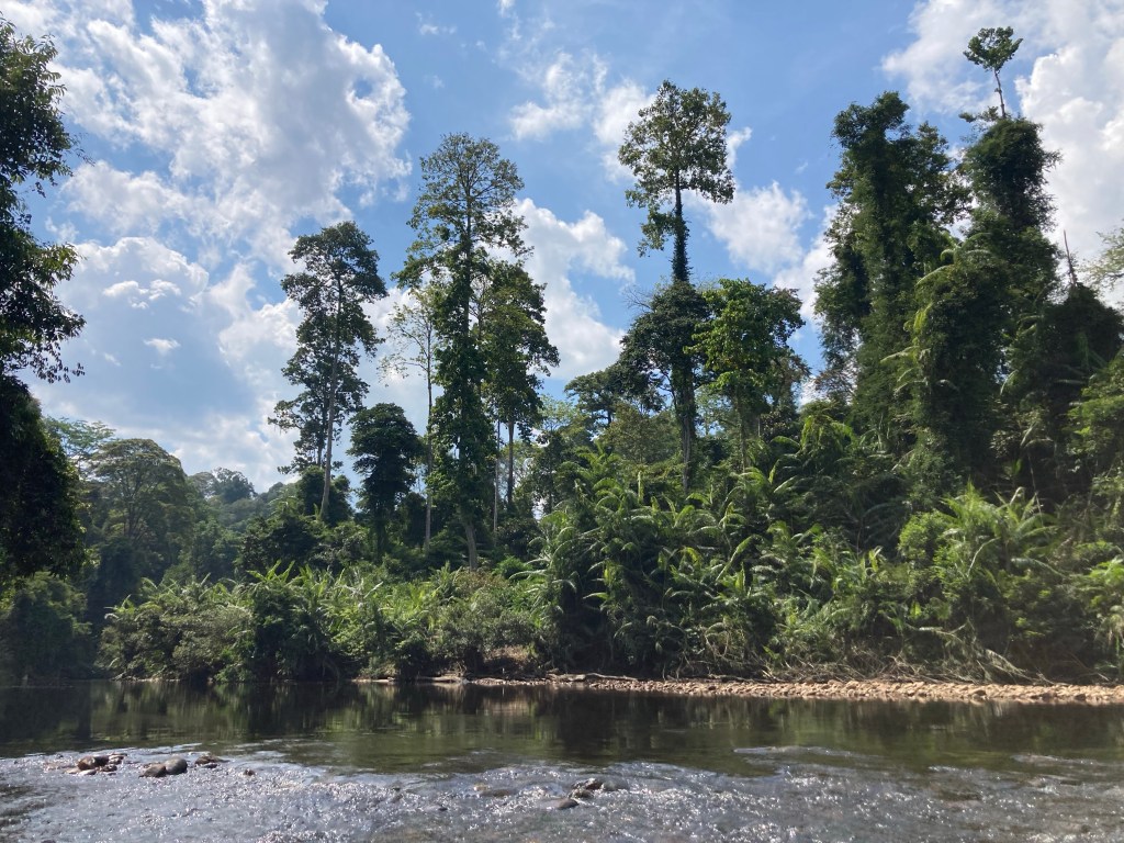 La Malaisie en famille – étape 3 : Taman&nbsp;Negara